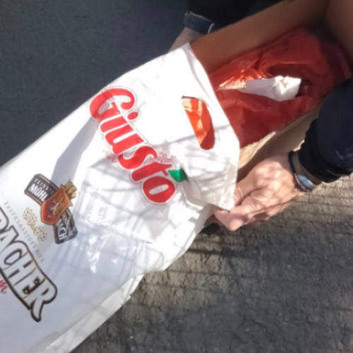 Un pui de cățel găsit aruncat într-o punga într-un supermarket din Cluj