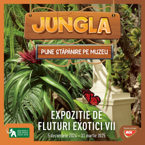 Expozitie de fluturi exotici vii la Muzeul Național de Istorie Naturală "Grigore Antipa"