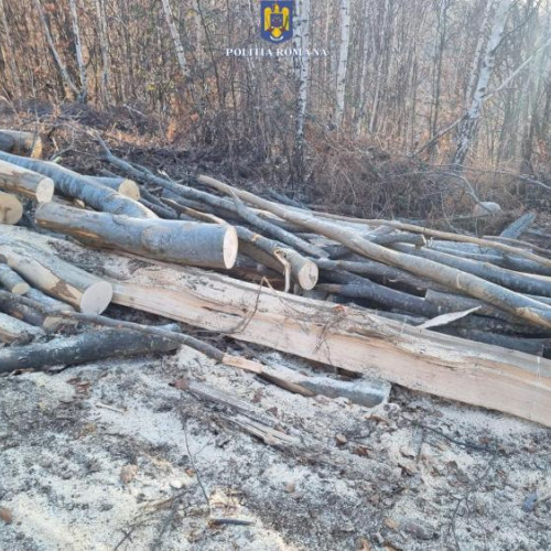 Controale de specialitate la Ciucea: operator sancționat pentru nereguli în depozitarea lemnului