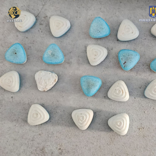 Percheziții în județul Bacău: Propunerea de arestare preventivă a inculpaților