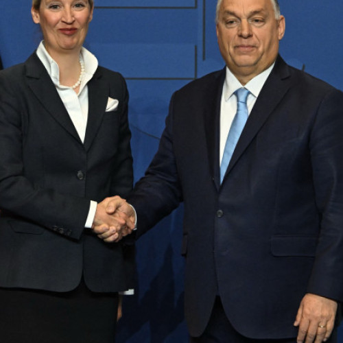 Alice Weidel promite să urmeze modelul Ungariei dacă AfD intră în guvern