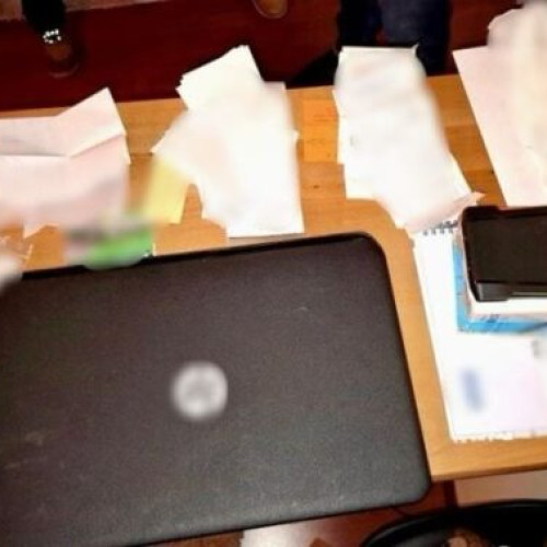 Percheziții în Bacau și Satu Mare pentru destructurarea unei rețele de criminalitate organizată