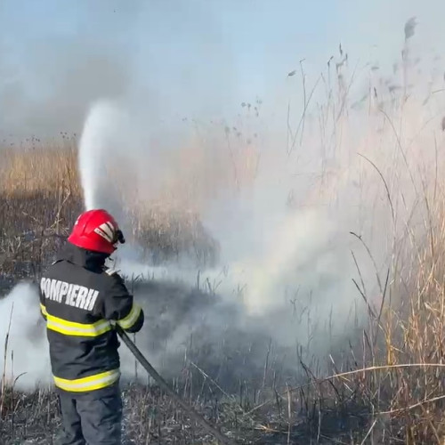 Incendiu la vegetație uscată în apropierea localității Somova, judetul Tulcea