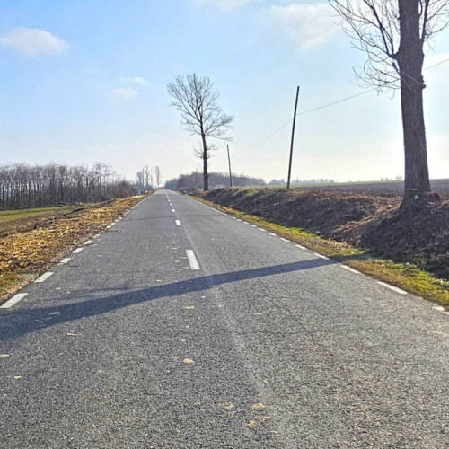 Acțiuni de curățare a vegetației pe drumurile din județul Galați
