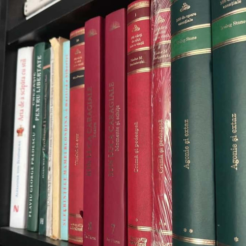 Biblioteca județeană "Lucian Blaga" Alba își extinde programul de funcționare