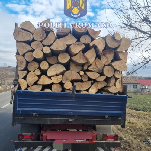 Șofer amendat și lăsat fără încărcătura de lemne în urma unui control al poliției