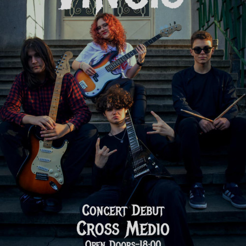 Patru tineri din Botoșani au înființat trupa Vince