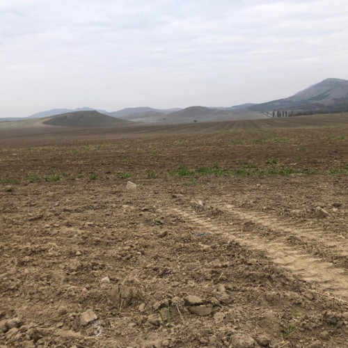 Noile tarife pentru scoaterea terenurilor din circuitul agricol pentru 2025