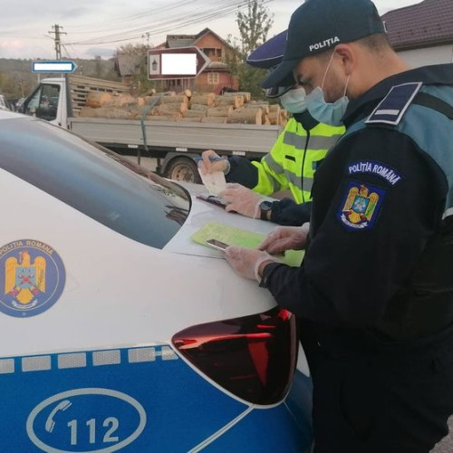Transport ilegal de lemn oprit de polițiști în Bucecea