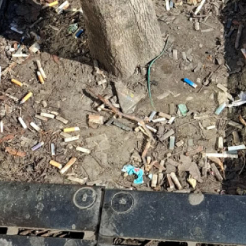 Spațiile verzi din Cluj, transformate în ghene de gunoi