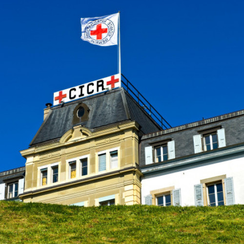 Aproape 50.000 de persoane dispărute în conflictul dintre Rusia și Ucraina