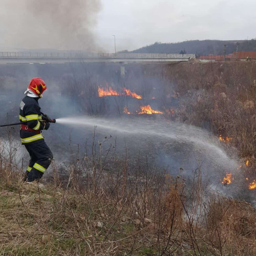 Incendiu de vegetație la Blaj, pe strada Clujului