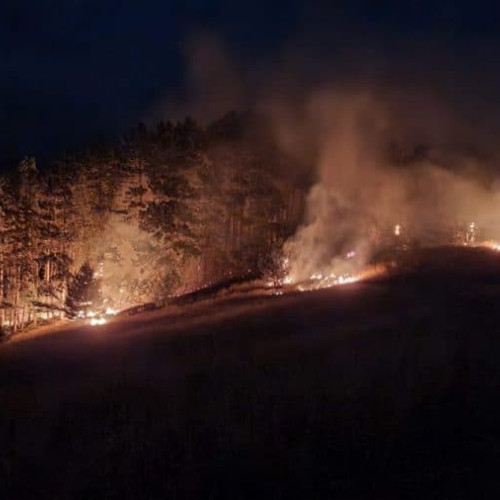 Incendiu de vegetație uscată în comuna Salciua