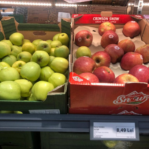 Producătorii de fructe din Moldova își extind exporturile în România