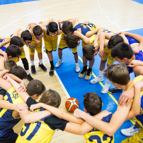 Un singur candidat pentru funcția de director al CSU Sibiu