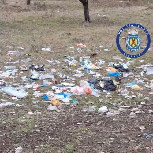 Incident de mediu pe strada Drumul Dumitrei Nou