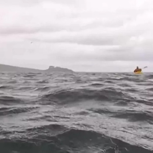 Un caiacist a fost înghițit și eliberat teafăr de o balenă în Patagonia chiliană