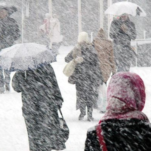 Avertizare meteorologică în județul Botoșani pentru ninsoare viscolită