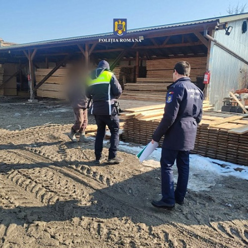 Acțiune împotriva depozitării ilegale a materialelor lemnoase în Negrești-Oaș