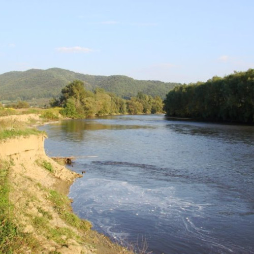 Acțiune de prevenire a ilegalităților în domeniul pescuitului în Maramureș