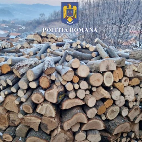 Percheziții în Dofteana pentru furt de material lemnos