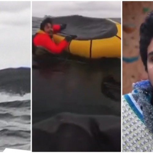 Caiacist surprins de o balenă cu cocoșă în Patagonia chiliană