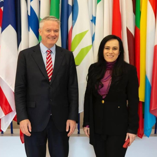 Reuniune între ministrul Muncii și Secretarul General al OCDE în cadrul unei conferințe la Paris