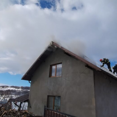O bătrână și câinele ei au fost găsiți carbonizați într-un incendiu