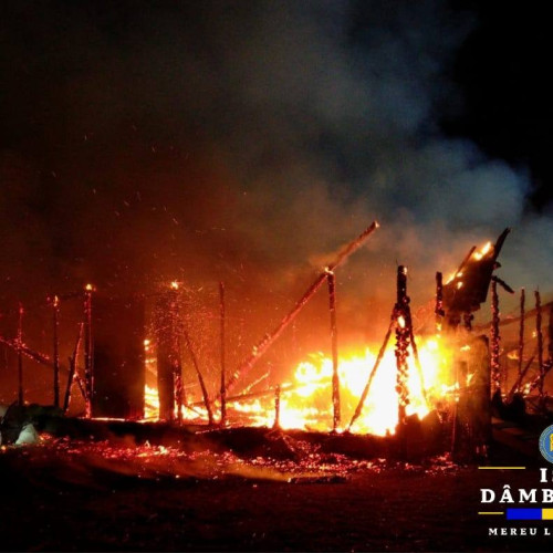 Incendiu la un adăpost de animale în Movila