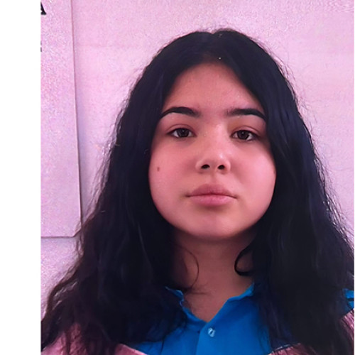 Căutări pentru o fetiță dispărută din Faclia, județul Constanța