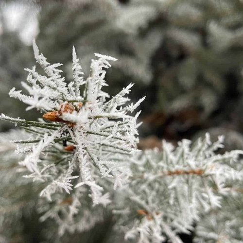 Alerte Meteorologice pentru vreme rece în Alba și alte județe