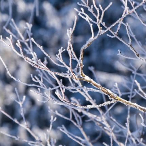 Vreme rece și ger în perioada 17 - 19 februarie