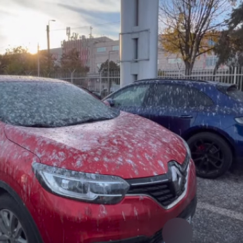 Problema parcărilor în Cluj-Napoca: mașinile vandalizate de porumbei