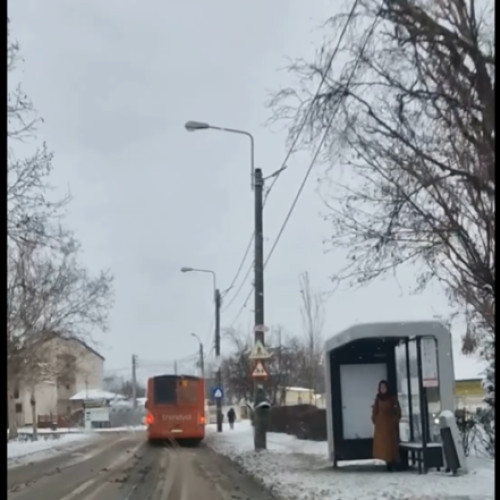 Intervenții pentru îndepărtarea zăpezii în Sectorul 1