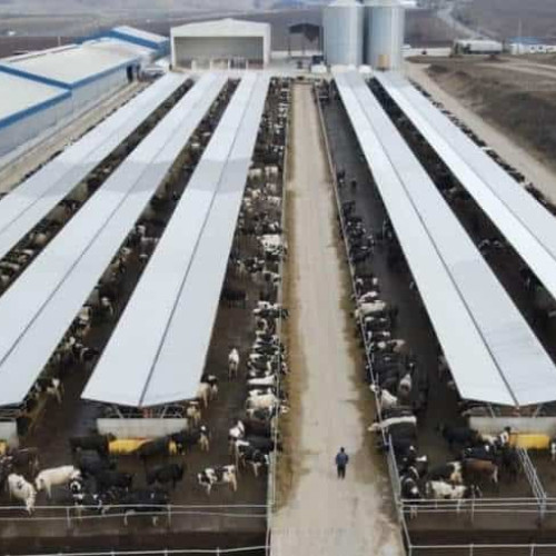 DN Agrar Group din Alba anunță planuri de investiții de 3,4 milioane de euro