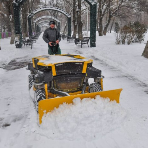 Spiderman ajută la deszăpezirea parcurilor din București