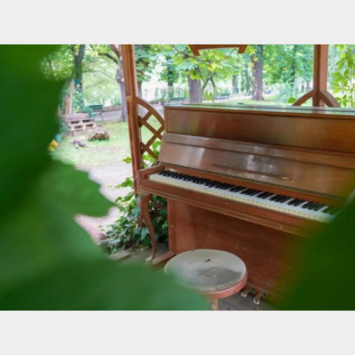 Concurs pentru studenți în realizarea pavilionului pentru pian în Parcul Libertății