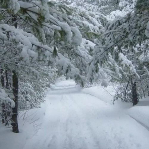 CNAIR anunță că nu sunt drumuri închise din cauza ninsorilor