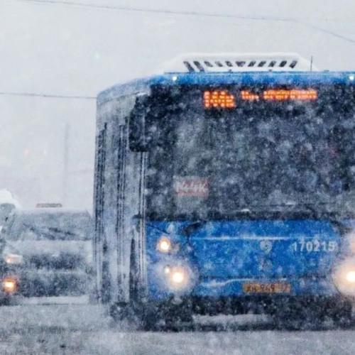 Târgoviște: Administratia locală suplimentează transportul public în condiții meteo dificile