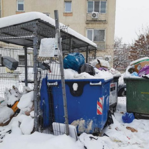 N. Dumitrescu, o voce puternică în comunitate