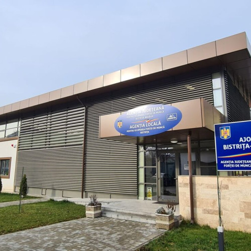 Se caută locuri de muncă în diverse domenii