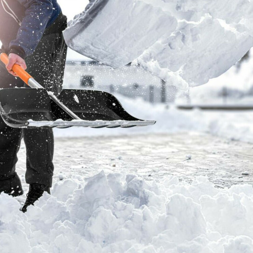 Turistii chinezi transforma deszapezirea in atractie turistica in Japonia