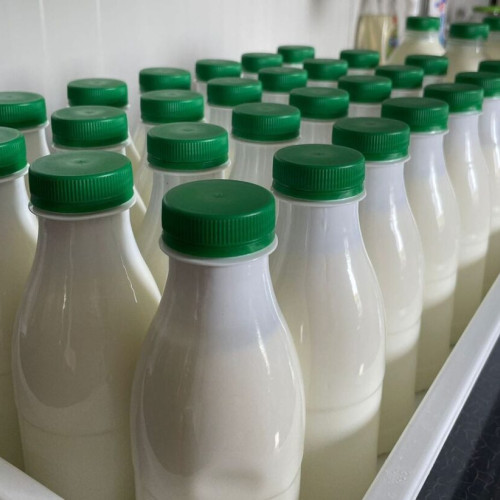 Investiții de milioane în industria laptelui din România