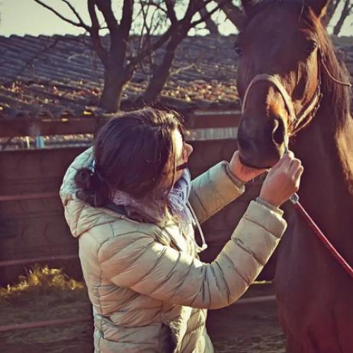 Conf. dr. Alexandra Mureșan, Diplomat al Colegiului European de Medicină Internă Ecvina
