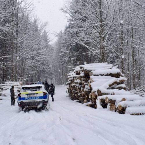 Controale împotriva tăierilor ilegale de lemn în România