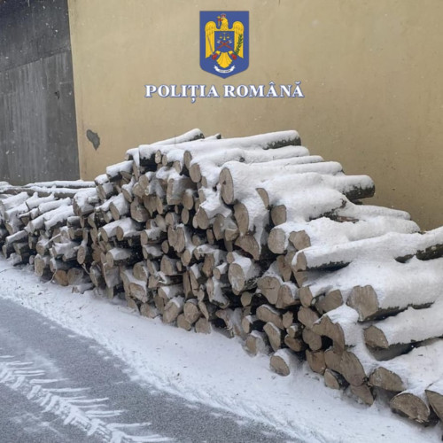 Acțiune a poliției din Feldioara împotriva transporturilor ilegale de lemn