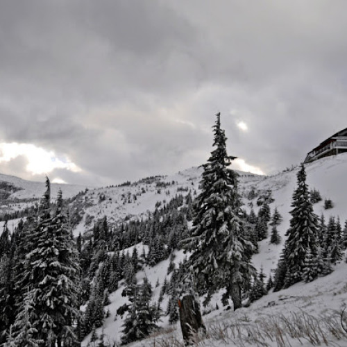 Atenționare Cod galben de la ANM pentru vreme rece