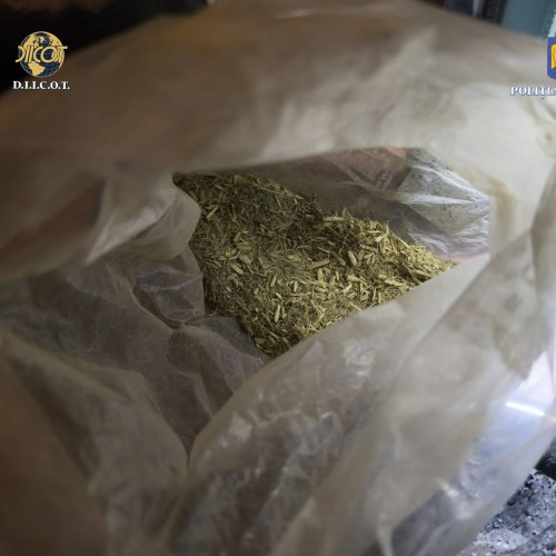 Persoană reținută pentru trafic de droguri în Constanța