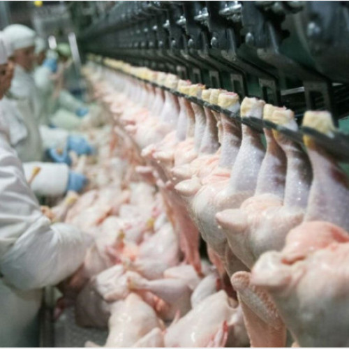 15 proiecte din Bihor primesc finanțare de 60 milioane euro pentru procesarea produselor agricole