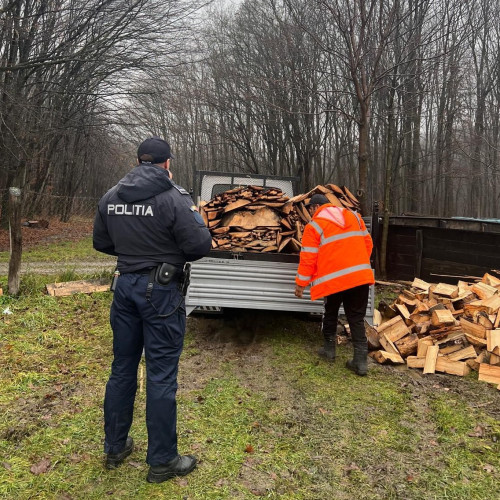 Acțiune a poliției pentru combaterea delictelor silvice în Botoșani